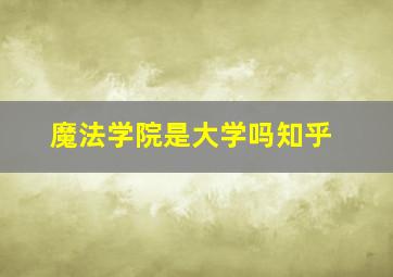 魔法学院是大学吗知乎