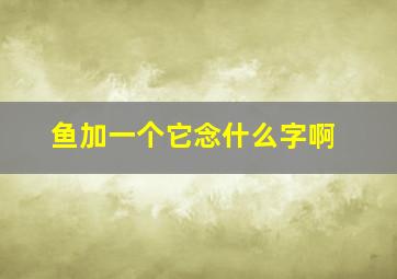 鱼加一个它念什么字啊