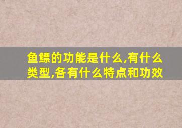 鱼鳔的功能是什么,有什么类型,各有什么特点和功效