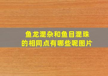 鱼龙混杂和鱼目混珠的相同点有哪些呢图片