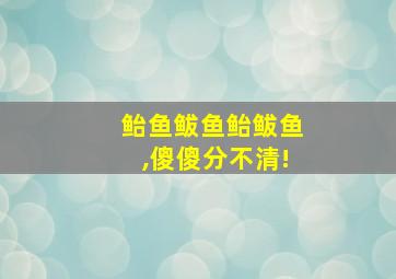 鲐鱼鲅鱼鲐鲅鱼,傻傻分不清!