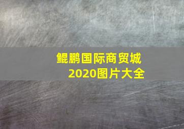 鲲鹏国际商贸城2020图片大全