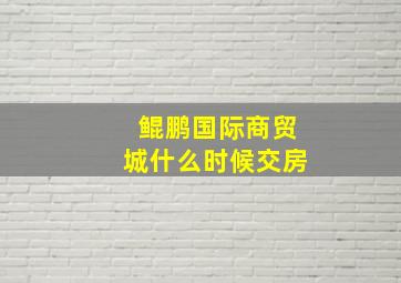 鲲鹏国际商贸城什么时候交房