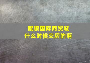 鲲鹏国际商贸城什么时候交房的啊