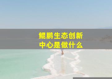 鲲鹏生态创新中心是做什么