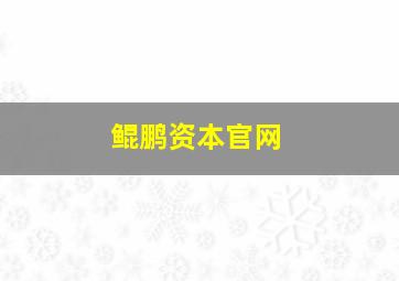 鲲鹏资本官网