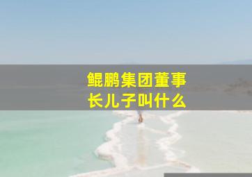 鲲鹏集团董事长儿子叫什么