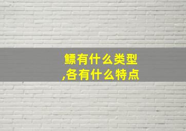 鳔有什么类型,各有什么特点