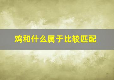 鸡和什么属于比较匹配