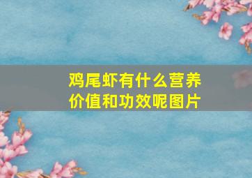 鸡尾虾有什么营养价值和功效呢图片