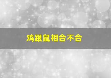 鸡跟鼠相合不合