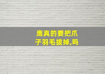 鹰真的要把爪子羽毛拔掉,吗