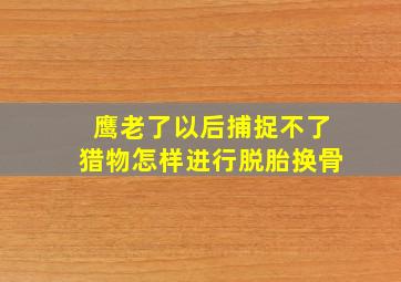 鹰老了以后捕捉不了猎物怎样进行脱胎换骨