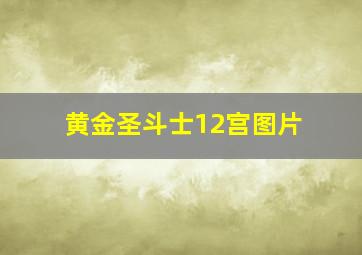 黄金圣斗士12宫图片