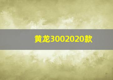 黄龙3002020款