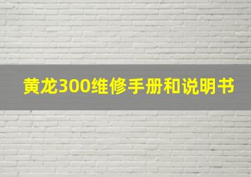 黄龙300维修手册和说明书