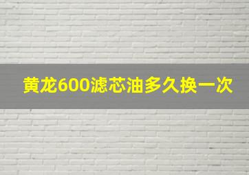 黄龙600滤芯油多久换一次