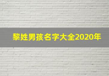 黎姓男孩名字大全2020年