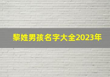 黎姓男孩名字大全2023年