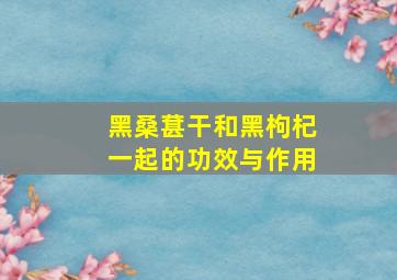 黑桑葚干和黑枸杞一起的功效与作用