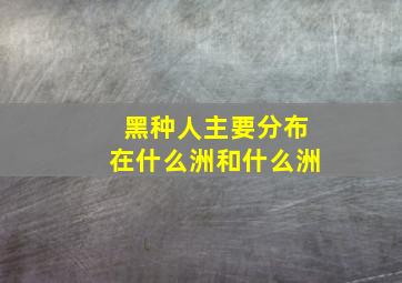 黑种人主要分布在什么洲和什么洲