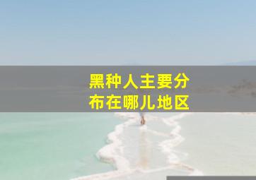 黑种人主要分布在哪儿地区