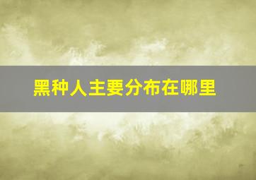 黑种人主要分布在哪里