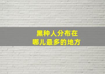 黑种人分布在哪儿最多的地方