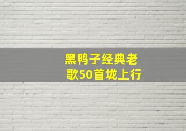 黑鸭子经典老歌50首垅上行