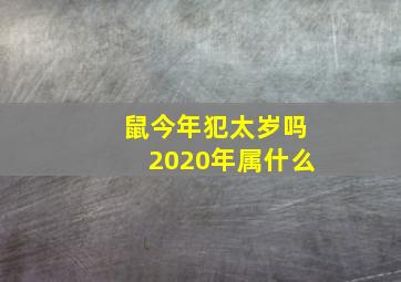 鼠今年犯太岁吗2020年属什么