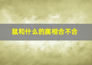 鼠和什么的属相合不合