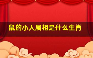 鼠的小人属相是什么生肖