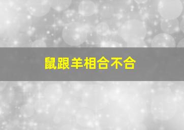 鼠跟羊相合不合