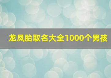 龙凤胎取名大全1000个男孩