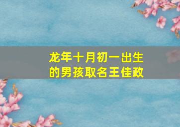 龙年十月初一出生的男孩取名王佳政