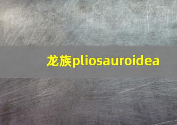 龙族pliosauroidea