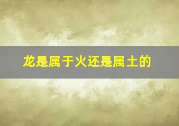 龙是属于火还是属土的