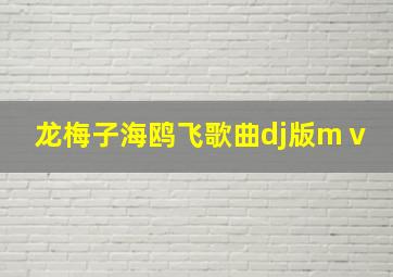 龙梅子海鸥飞歌曲dj版mⅴ