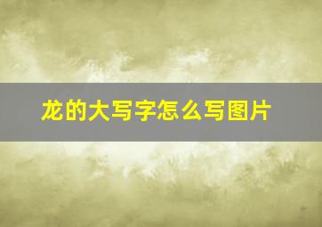 龙的大写字怎么写图片