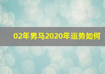 02年男马2020年运势如何