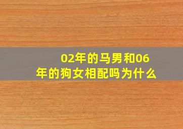 02年的马男和06年的狗女相配吗为什么