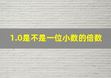 1.0是不是一位小数的倍数