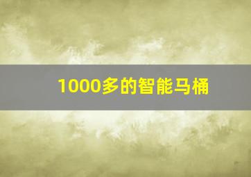 1000多的智能马桶