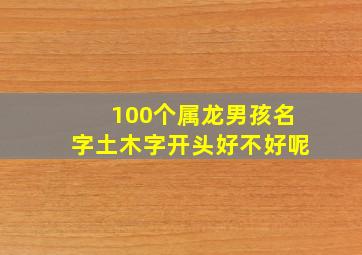 100个属龙男孩名字土木字开头好不好呢