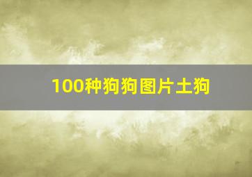 100种狗狗图片土狗