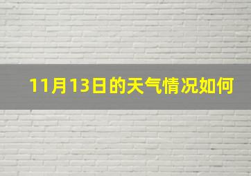 11月13日的天气情况如何