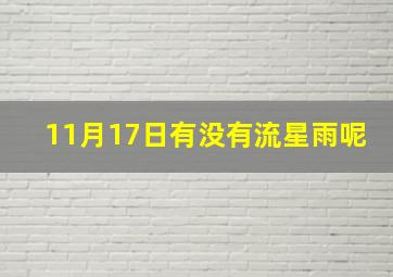 11月17日有没有流星雨呢