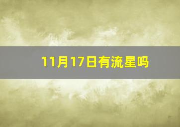 11月17日有流星吗