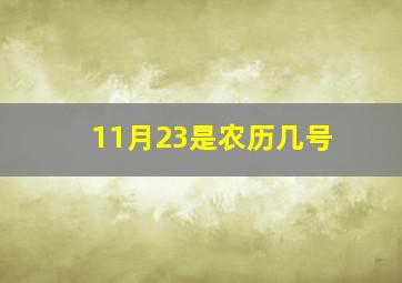 11月23是农历几号