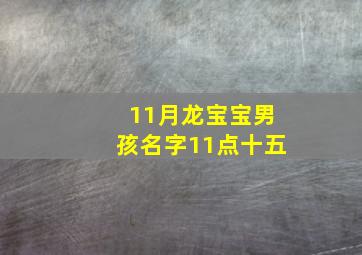 11月龙宝宝男孩名字11点十五